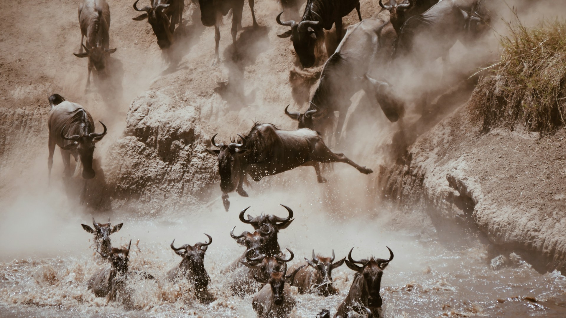 8-Day Great Migration Safari Gallery
