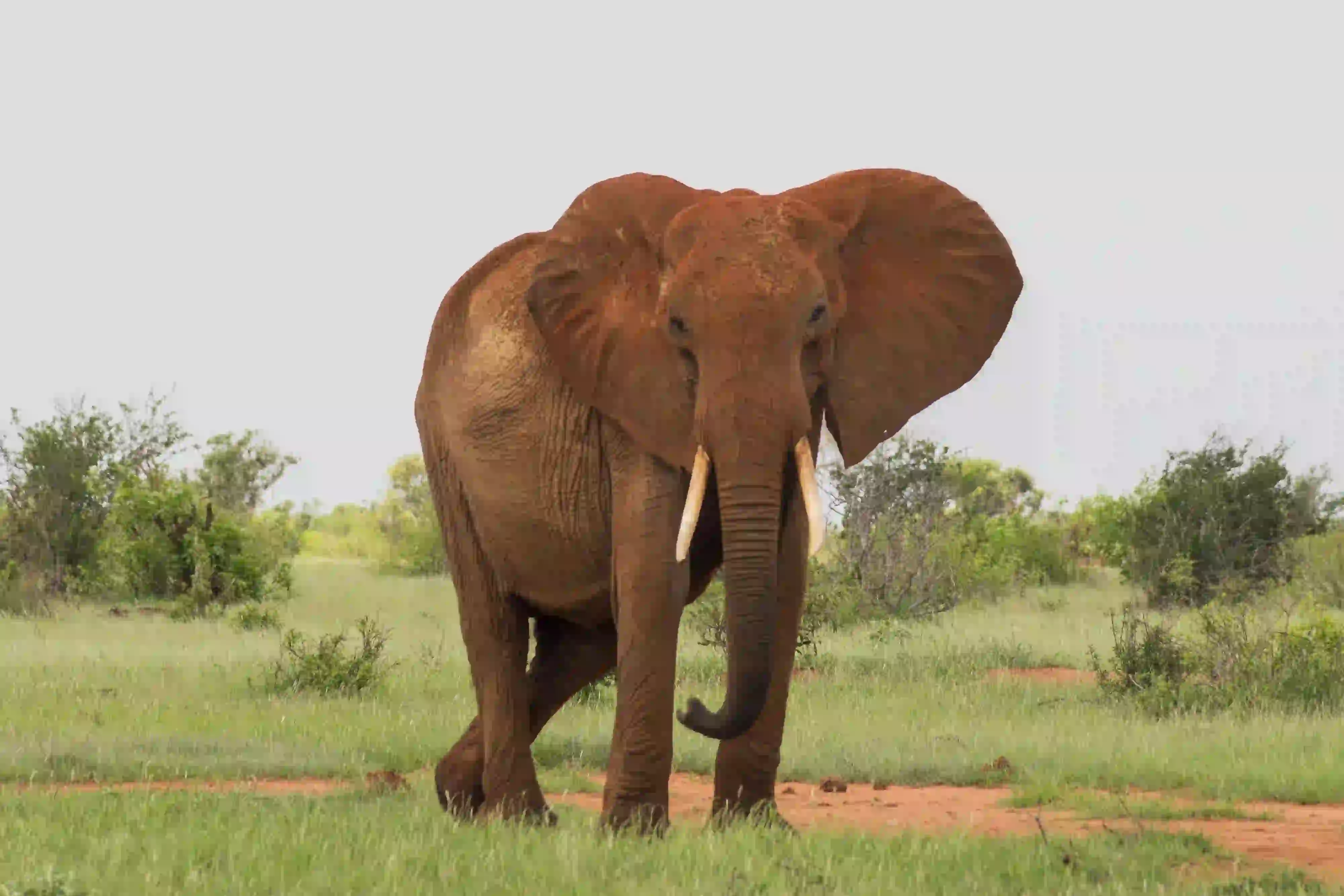 2-Day Tarangire & Ngorongoro Safari Gallery