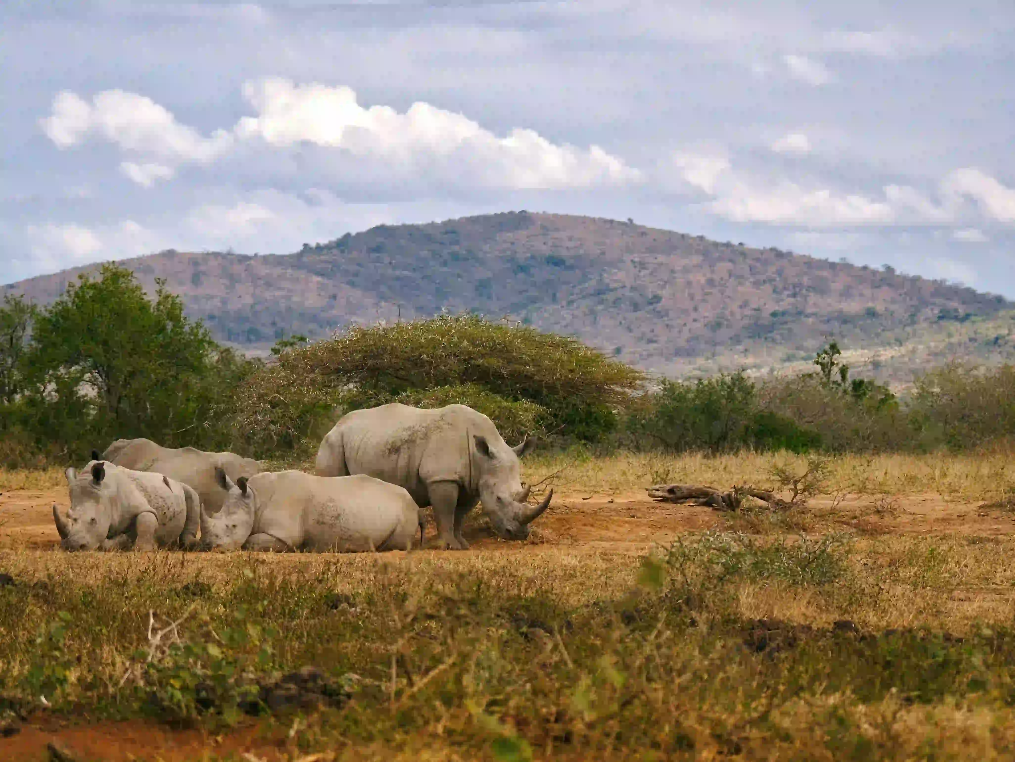 5-Day Extended Serengeti Safari Gallery