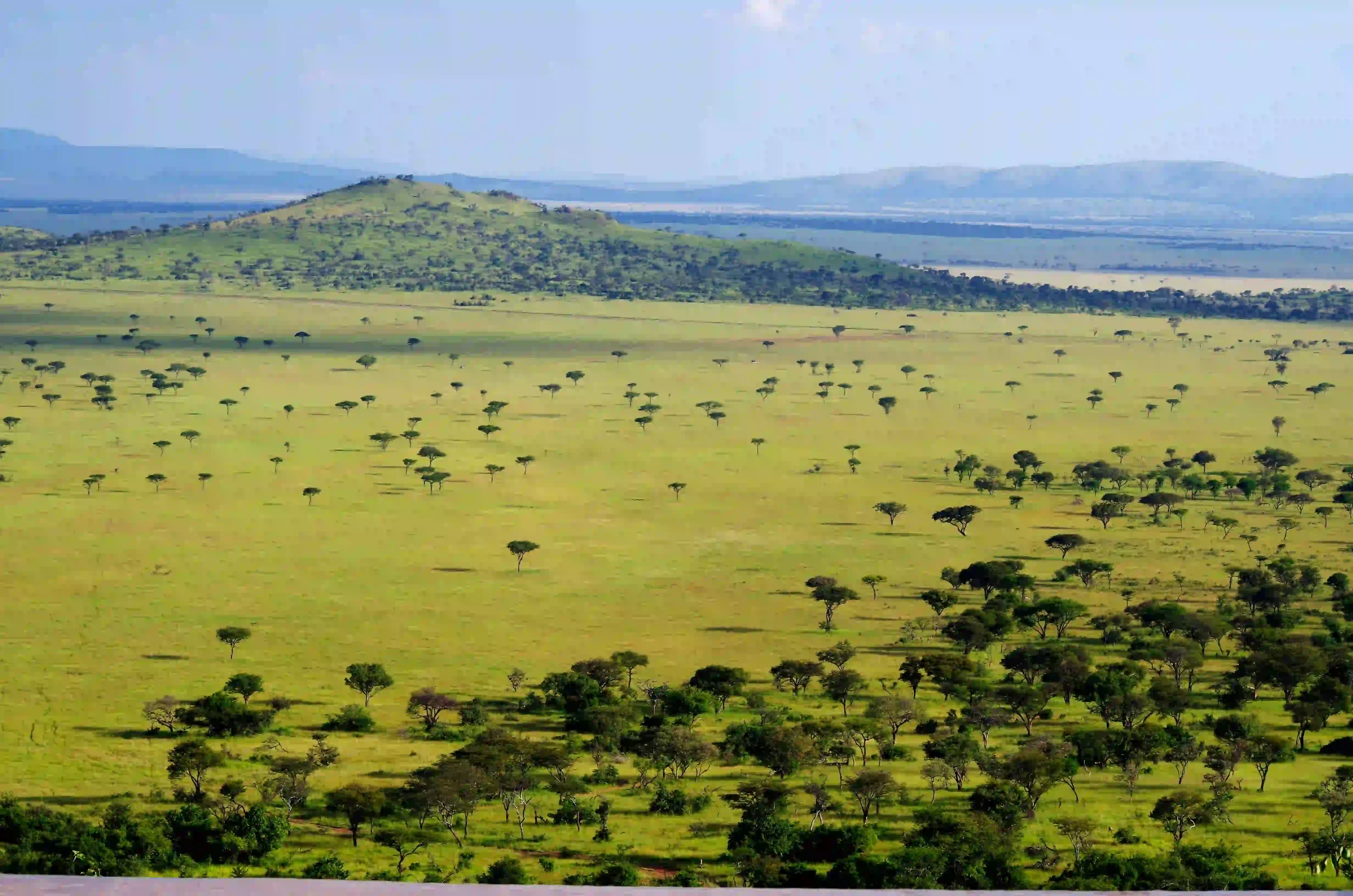 4-Day Tarangire, Serengeti & Ngorongoro Safari Gallery