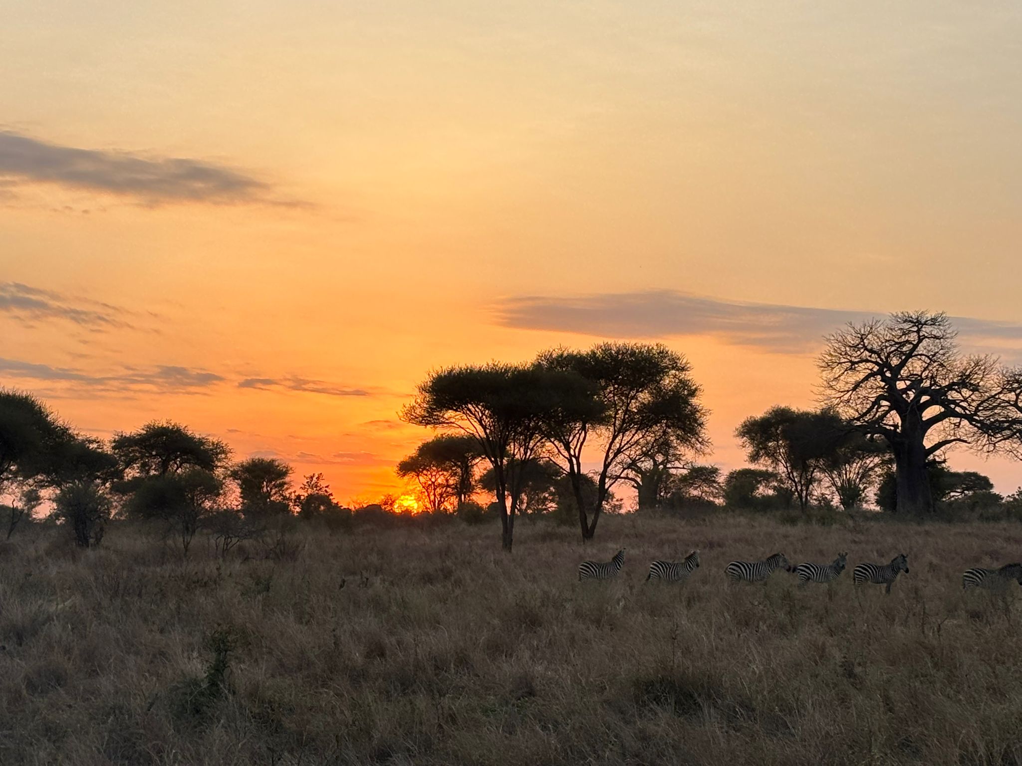 8-Day Great Migration Safari Gallery